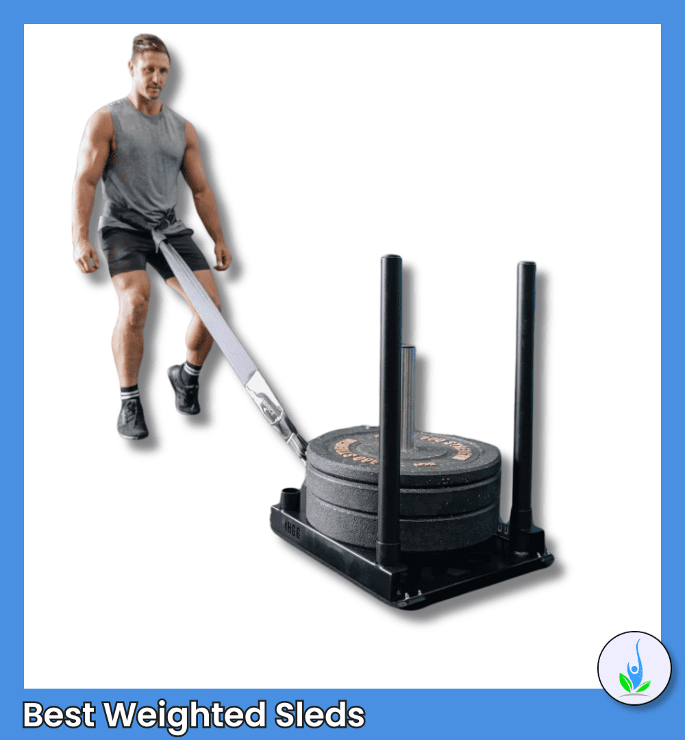 BP Sled Best Weighted Sled Of The Year